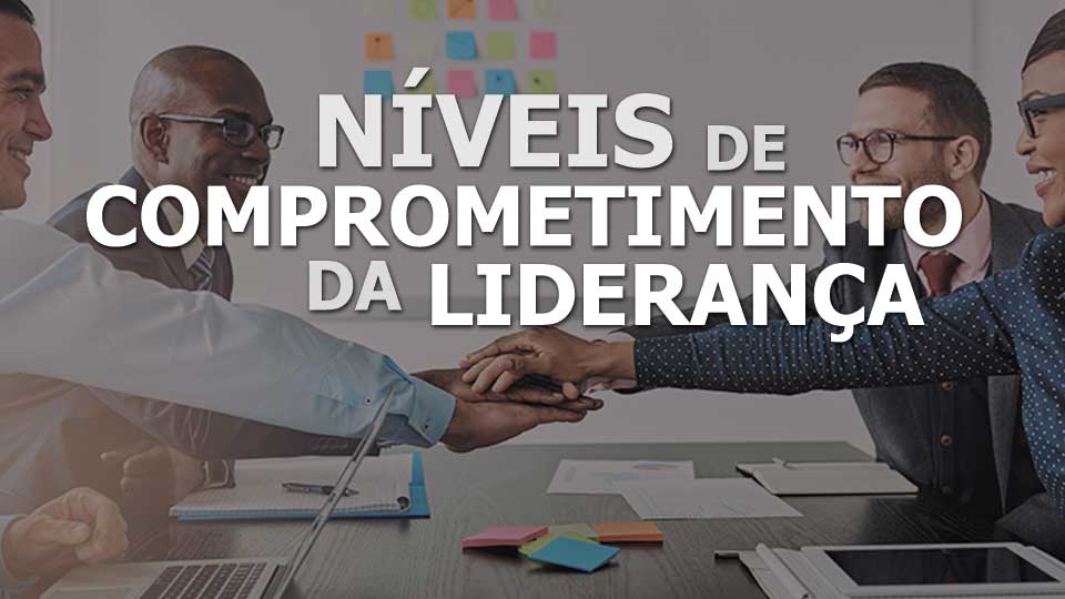 NIVEIS DE COMPROMETIMENTO DA LIDERANÇA